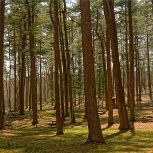 Meet your Posher, Dylan